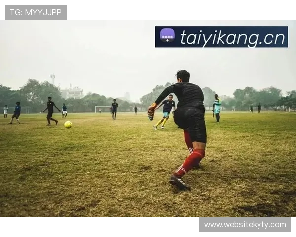 探索开云体育入口平台的全面优势与应用情景