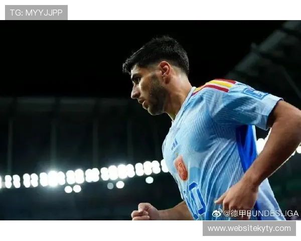 探讨开云体育网页版入口评价背后的优势与不足之处