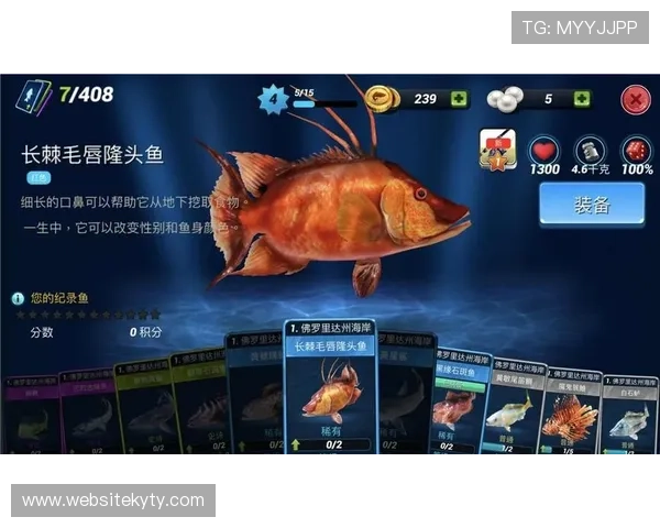 开云新人88：新手玩家入门必读的实用攻略让你快速融入游戏世界